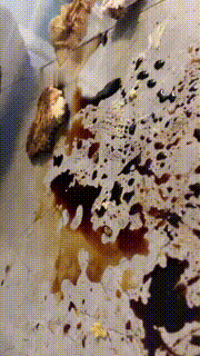【黛黛S】吃饭篇-鞋底灰拌汉堡喂食 bf8505