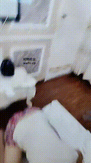 【&#18990】姐妹花S-骑狗背揪耳朵_黑丝脚虐_踢踹虐打JS241030-11