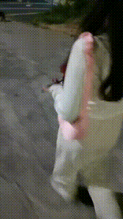 【梵高】偶遇S被调教【上下合集】 bf11326_2