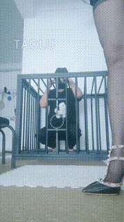 【媚娘】圈养狗笼里的废物狗 bf15049