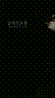 【梦二】户外重度刑遛狗专场 bf15715