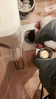 【绯闻王妃】铁笼圈养吃脏东西 bf16127