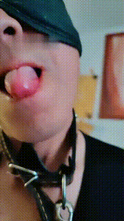 【东营天香百合】天生的玩物 bf11280