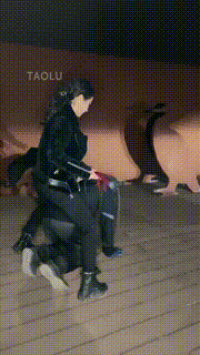 【鑫儿教头】户外公开军训爬行犬 bf11262