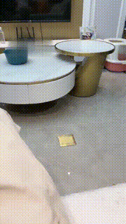 【萝莉糖糖】卑微伺候情侣主【双视角版】 bf15038_2