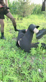 【妮可】专治碰瓷男 bf16389