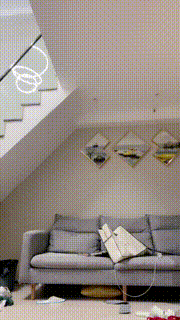 【仙女殿下】半夜发火打狗 bf20340