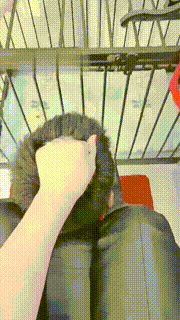 【执念】长靴高跟全体重踩踏【完整版】 bf18173