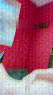 【一诺大小姐】沐足店当着素人面调狗【完整版】 bf18567_2