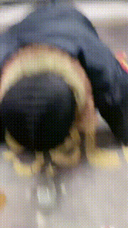 【伊兮夫妻】清晨圈养狗跪拜 bf20159