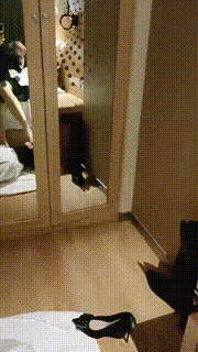 【米小唐】新人m求虐 bf20439