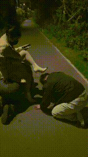 【暖暖】御姐野外溜双狗 bf20422