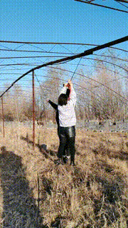 【长春小太阳】户外虐打采花大盗 bf20166封面图