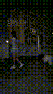 【CCyouer】户外阳台遛狗 bf18827