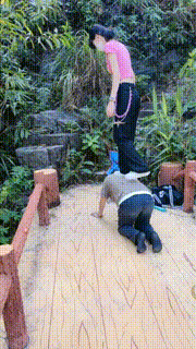 【暴力美学】运动女神小白鞋虐打狗 bf20040