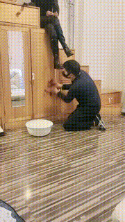 【文文文】圈养奴偷懒的下场【双视角版】 bf19690_1