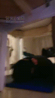 【傲雪】无视脚底贱奴 bf18708