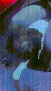 【语阳】SM主题酒吧群调群虐【双视角版】 bf21747_2