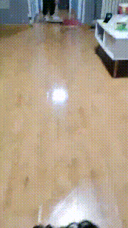 【江婷】圈养小奶狗日常【完整版】 bf20704