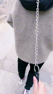 【罗宾】嘴巴塞住强制狗闻气味 bf21326