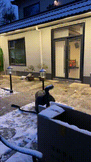 【星染】双主户外雪地暴力抽奴 bf23195