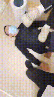 【安可】姐妹花玩弄邻居狗奴【双视角版】 bf23274_1