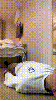 【诗酒S】脏小白鞋棉袜踩狗 bf23511封面图