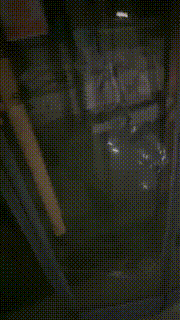 【桃幼幼】学生主户外溜双狗 bf23005封面图