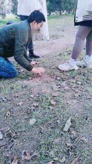 【雨雨大人&ampamp一璇S】双s户外偶遇调教修理贱狗（双视角）bf21977_2封面图