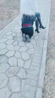 【梦幻大大】长靴S户外遛狗骑马爬行 bf23999封面图