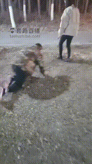 【重度刑奴】素人姐姐户外遛狗 bf22195