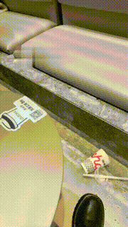 【礼礼大人】双S极度羞辱饭桌下的狗【双视角版】 bf21947_1封面图