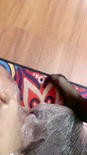 【辣妈S】木乃伊囚禁_黑丝深喉_鞭子狠抽 bf23747