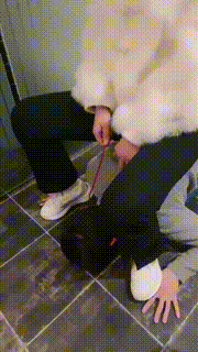 【西安欣】姐妹花教训偷原味邻居【双视角版】 bf22735_2