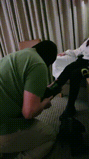 【心竹】深夜惩罚偷懒狗 bf23391