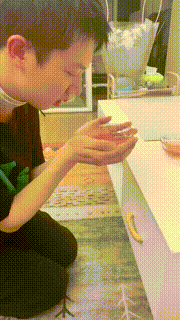 【奈奈生】绿帽男友甘愿跪下为奴 bf24992封面图