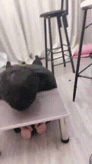 【悠悠大魔王】双S黑丝高跟踩狗奴【双视角版】 bf25028_2