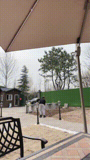 【宸宸】做御姐的圈养家奴 bf24866