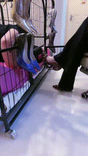 【傲雪】狗笼囚禁木乃伊捆绑踩踏 bf25077