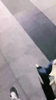 【嘉妮】户外惩罚跟踪狂-骑马遛狗舔脚【双视角完整版】 bf25741_1封面图