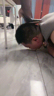 【羽珊】调胖DOG bf25364