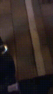 【上海户外gogogo】足疗店开发技师巅峰之作【完整版】 JS23030301_1封面图