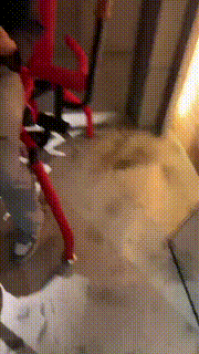 【狐狸女皇】三主-SM主题酒店玩轮流鞭打长靴踩踏 三视角+花絮 bf26185_1