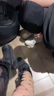 【可爱S】双S-靴子+运动鞋棉袜脚捂狗脸 bf26415