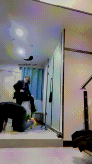 【上海安心】踹贱狗，打耳光 JS23030111