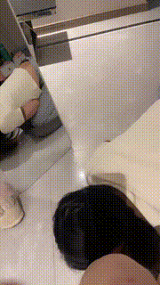 【橘子没熟】你们的女神我的狗 bf25411封面图