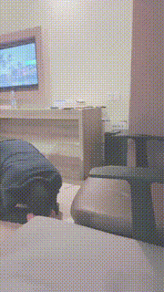 【语阳】长靴骑马坐脸窒息踩踏鞭打【完整版】 bf26201_2封面图