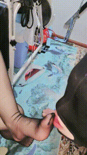 【西安欣】窒息木乃伊-狗嘴塞臭袜舔脚 bf24178