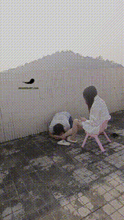 【囡囡】午后带贱狗天台晒太阳 JS23030108