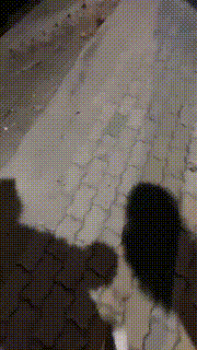 【橘子没熟】精彩高中女同学首次户外调【完整版】 bf25475封面图